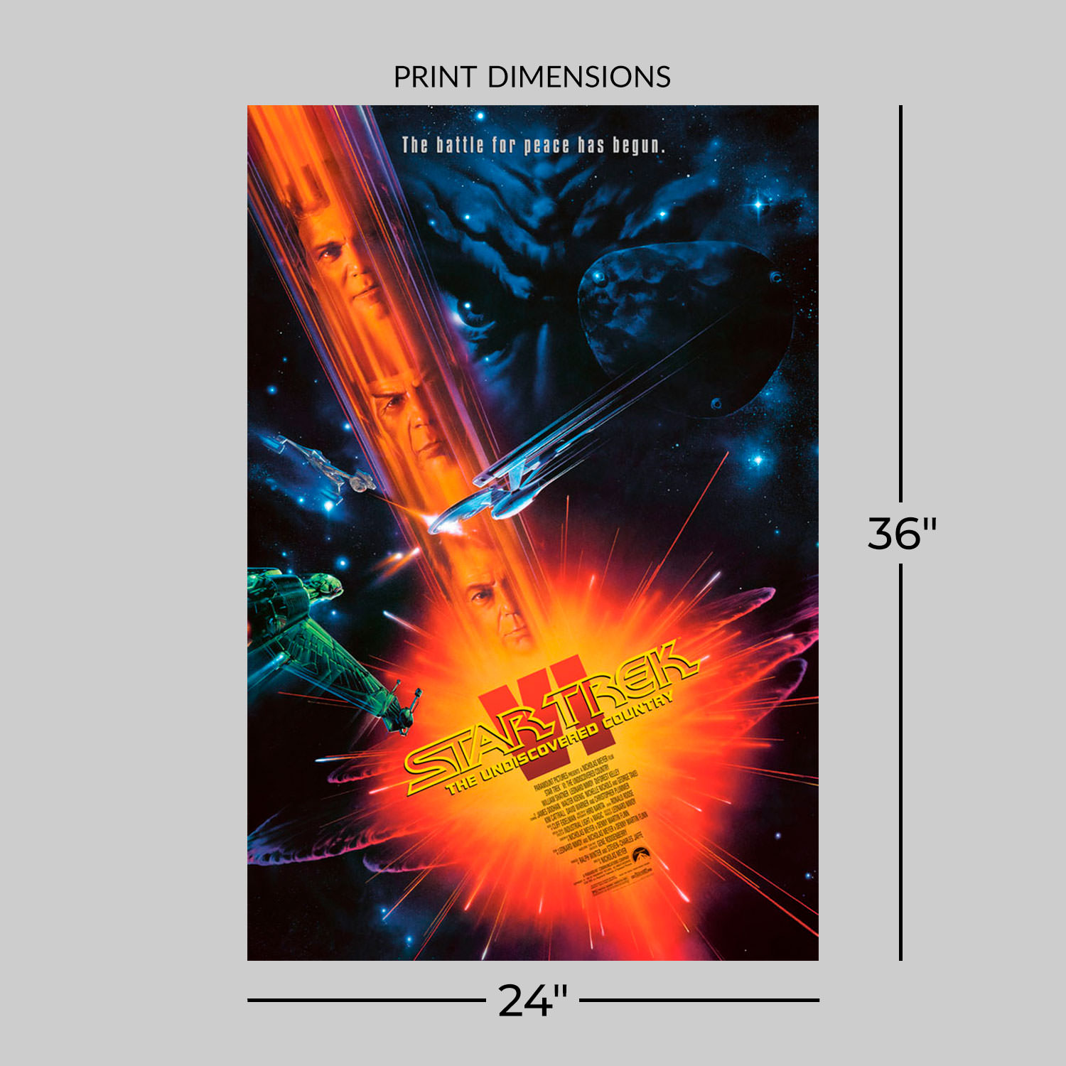 Star Trek VI: The Undiscovered Country (Large)