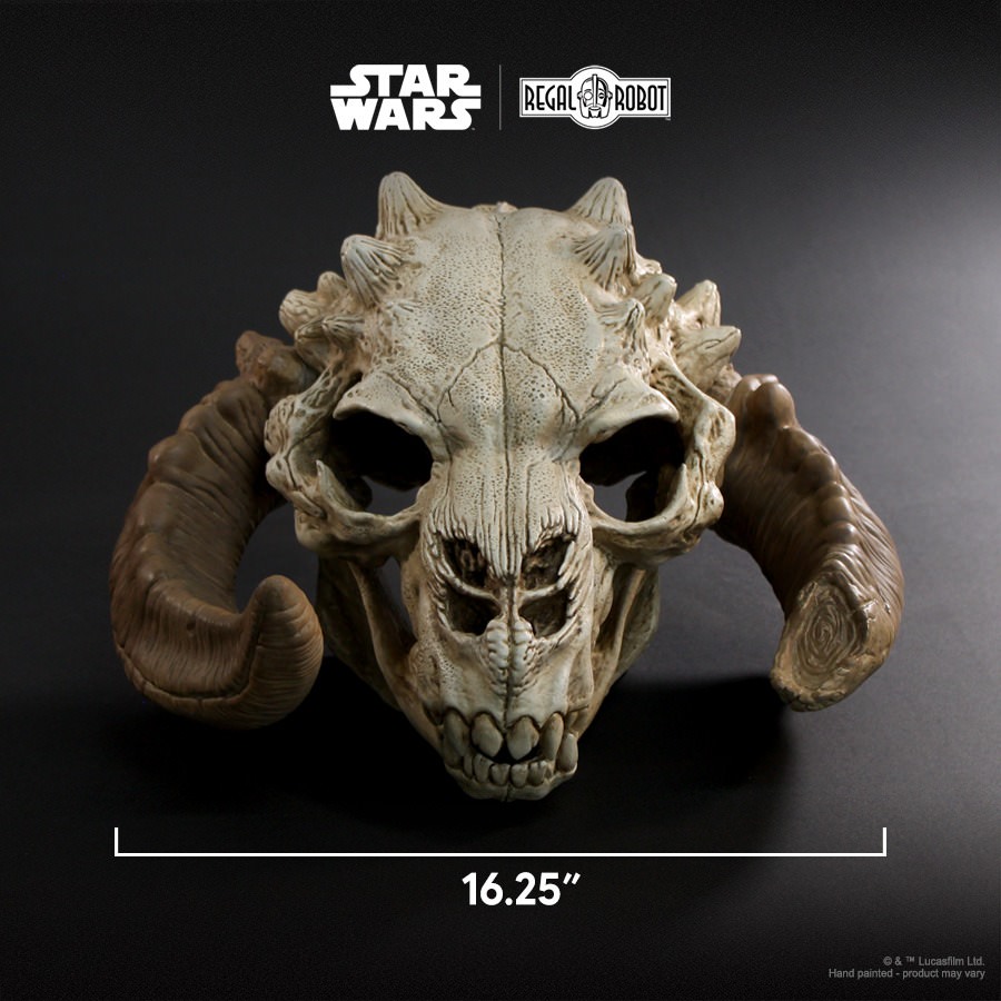 Tauntaun Skull