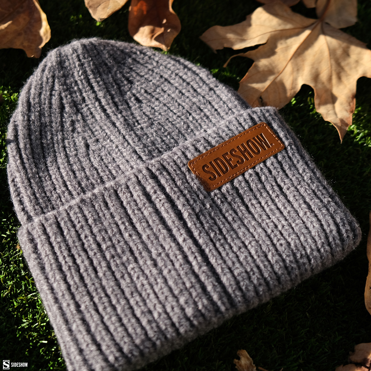 Sideshow (Dark Gray) Beanie