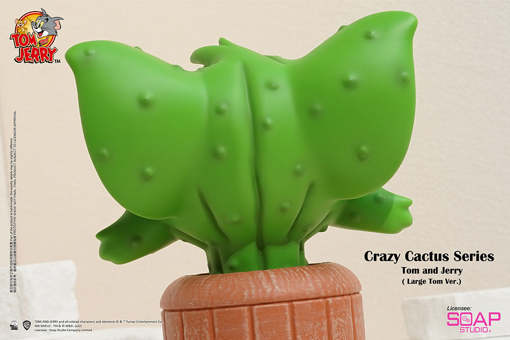 Crazy Cactus (Large Tom Version)