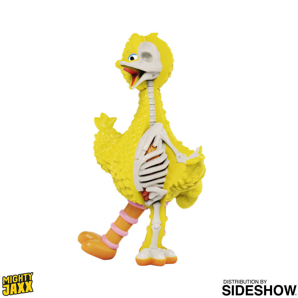 XXRAY Plus: Big Bird