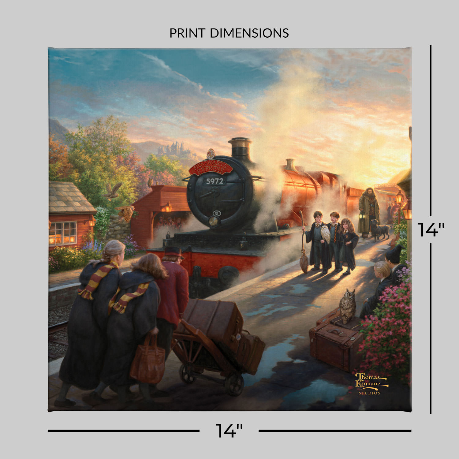 Harry Potter™ Hogwarts Express™