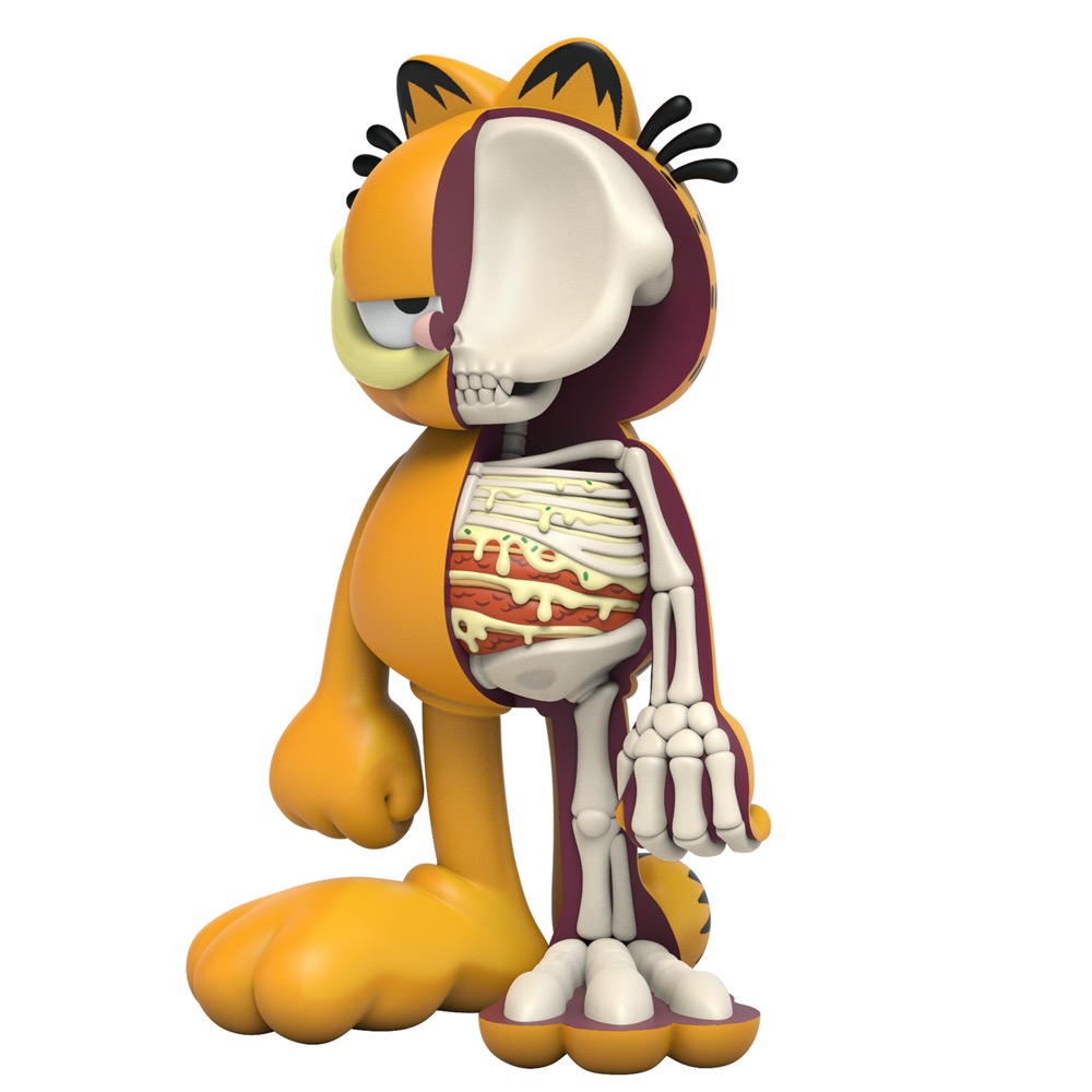 XXRAY Plus: Garfield
