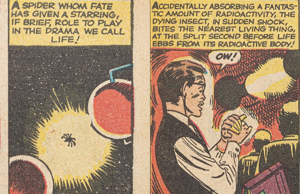 Spider-Man: Panel by Panel