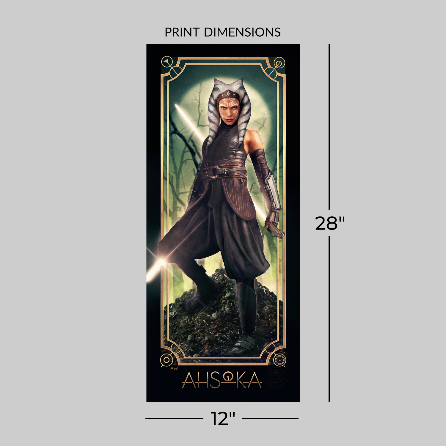 Star Wars™: Ahsoka Tano™