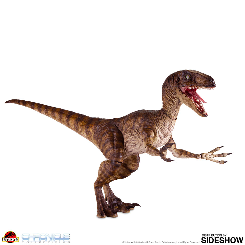 Velociraptor