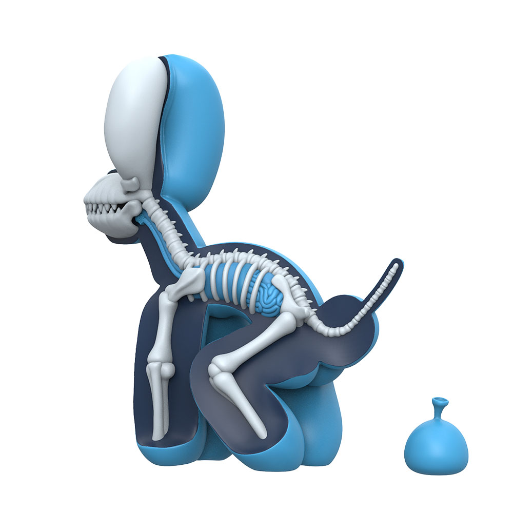 Dissected POPek (Blue Edition)