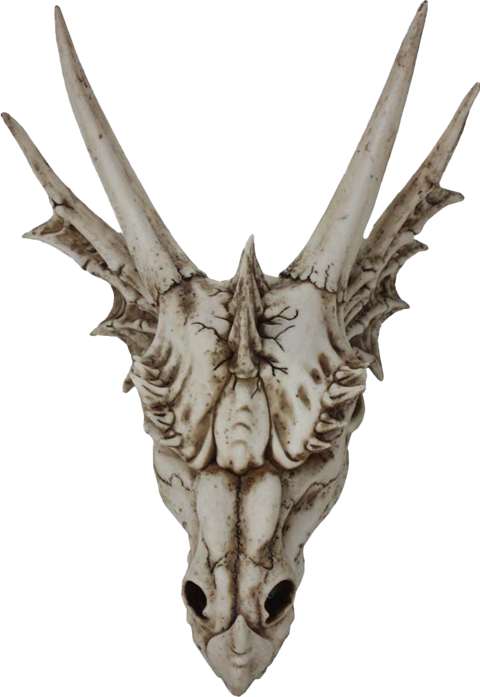 The Last Dragon Skull