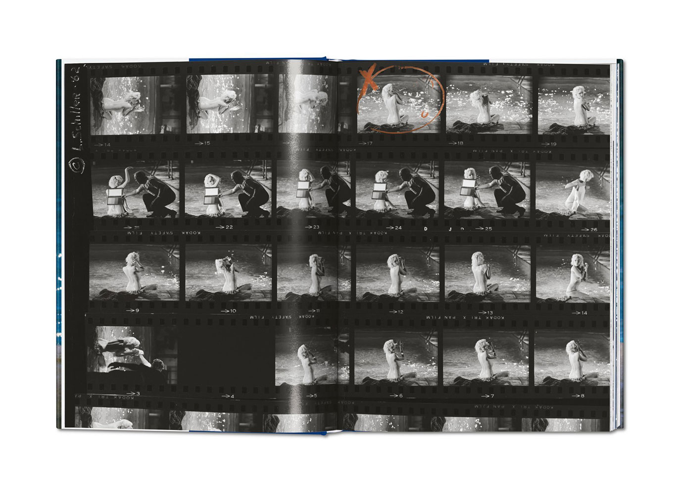 Lawrence Schiller. Marilyn & Me