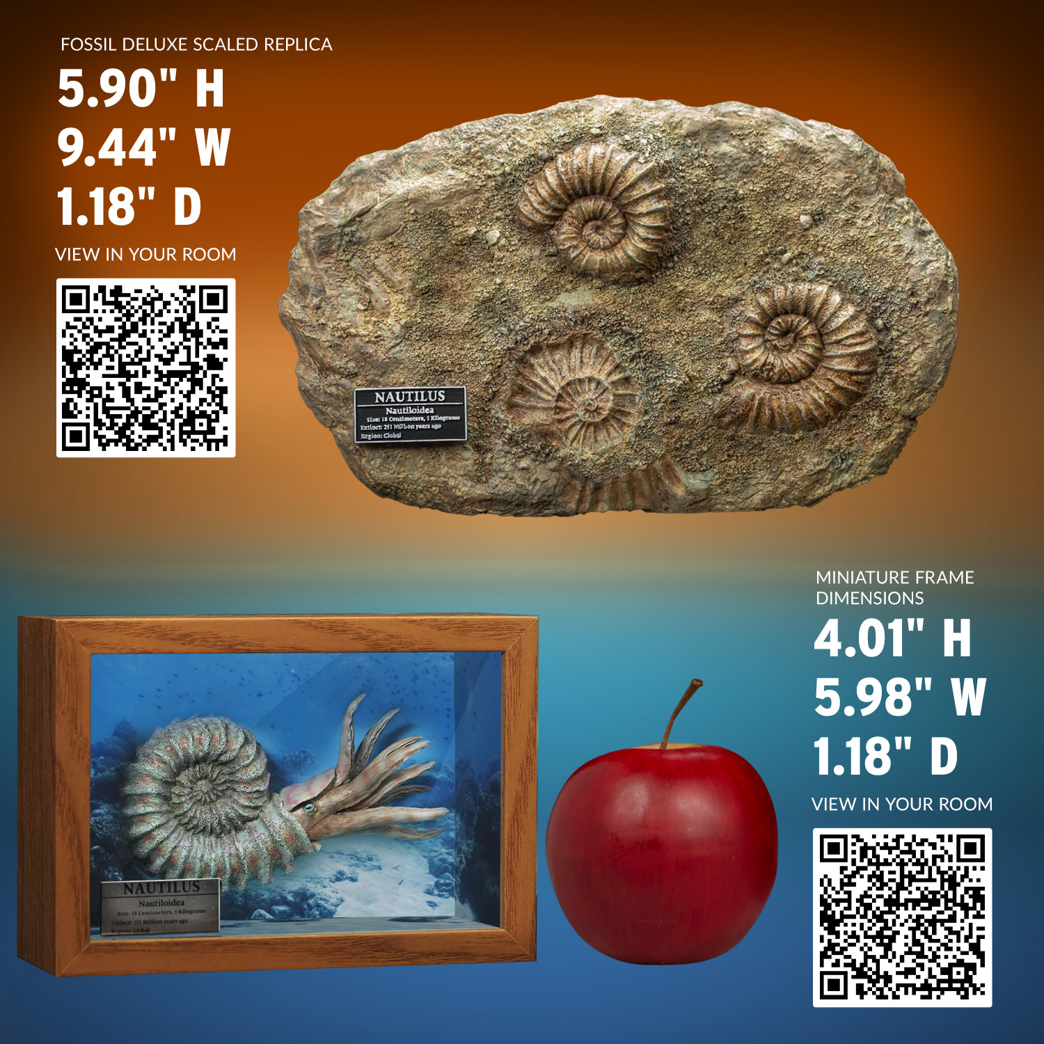 Nautilus Miniature Frame & Fossil Deluxe