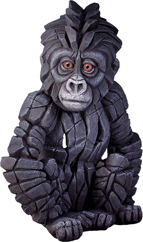 Baby Gorilla