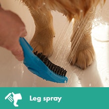 Dog Shower Petrol Blue