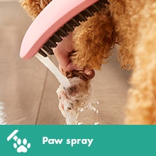 Dog Shower Pink