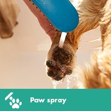 Dog Shower Petrol Blue