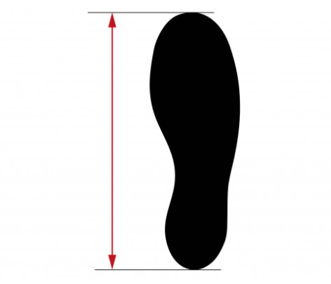 Pasted Image