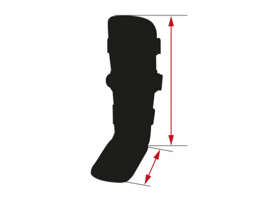 Pasted Image