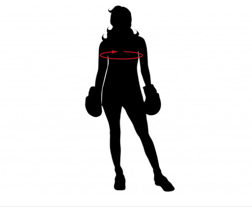 Pasted Image