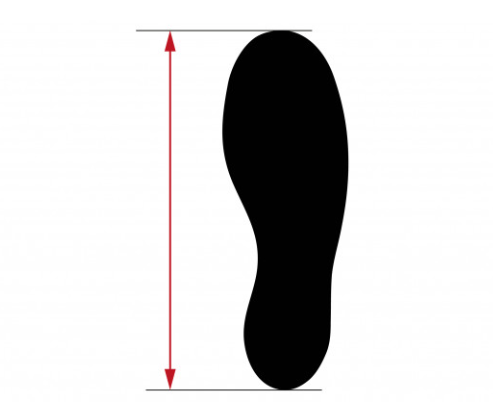 Pasted Image
