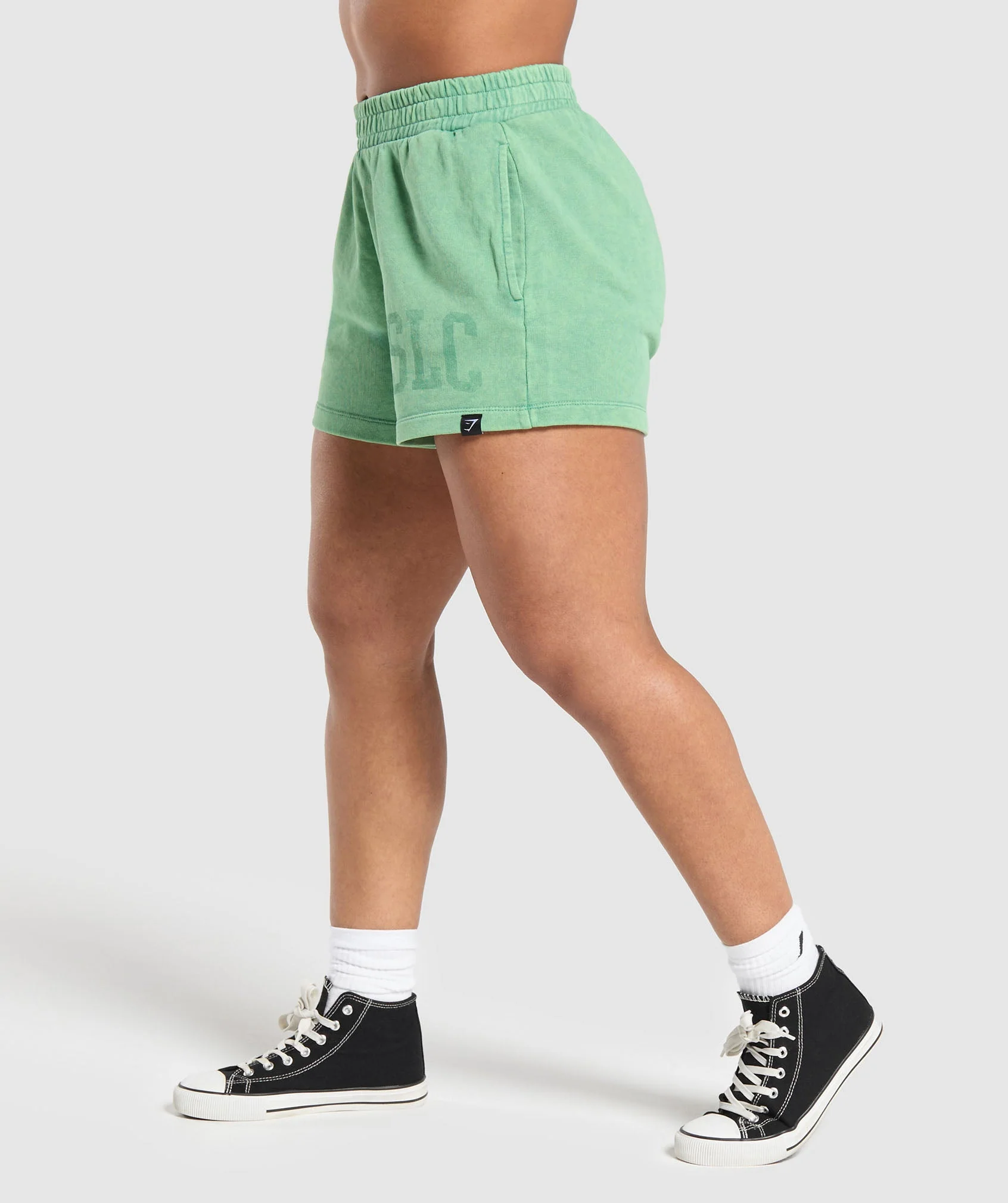 Collegiate Shadow Washed Shorts