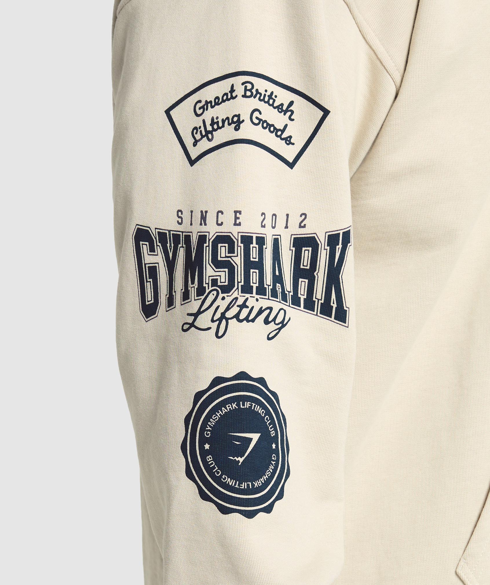 Lifting Essentials Hoodie