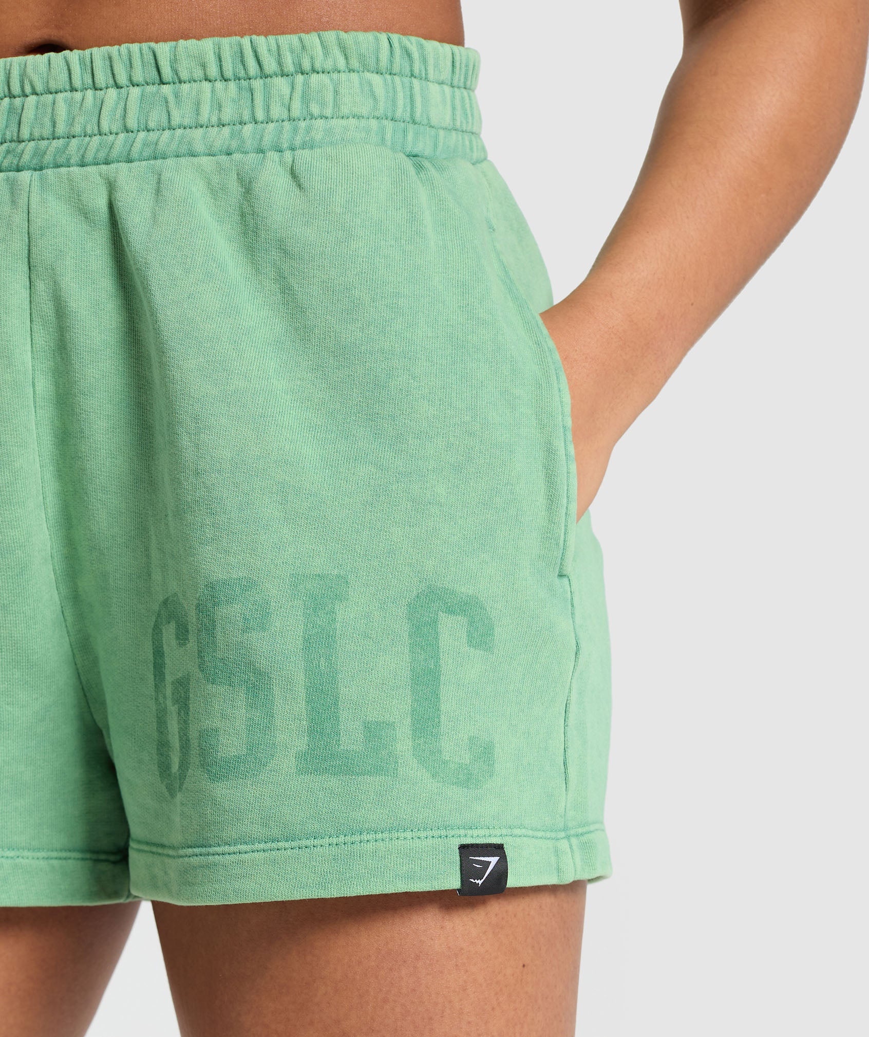 Collegiate Shadow Washed Shorts