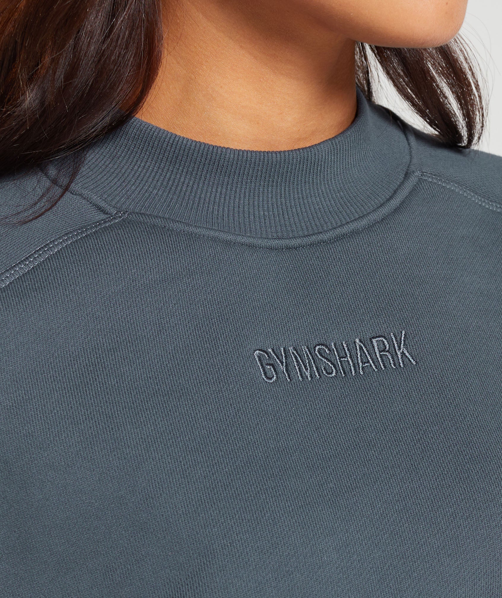 Loopback Sweat Pullover