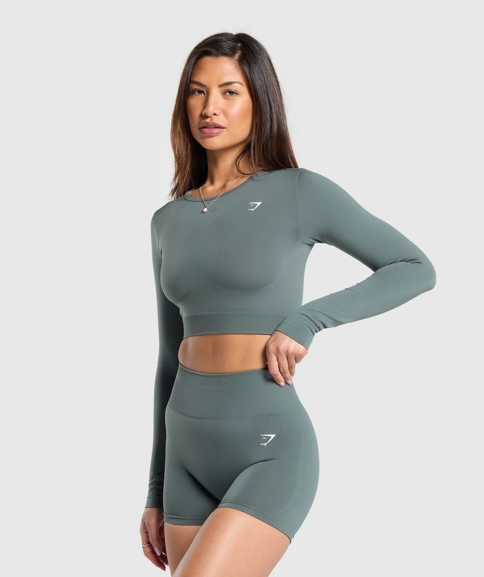 Everyday Seamless Long Sleeve Crop Top