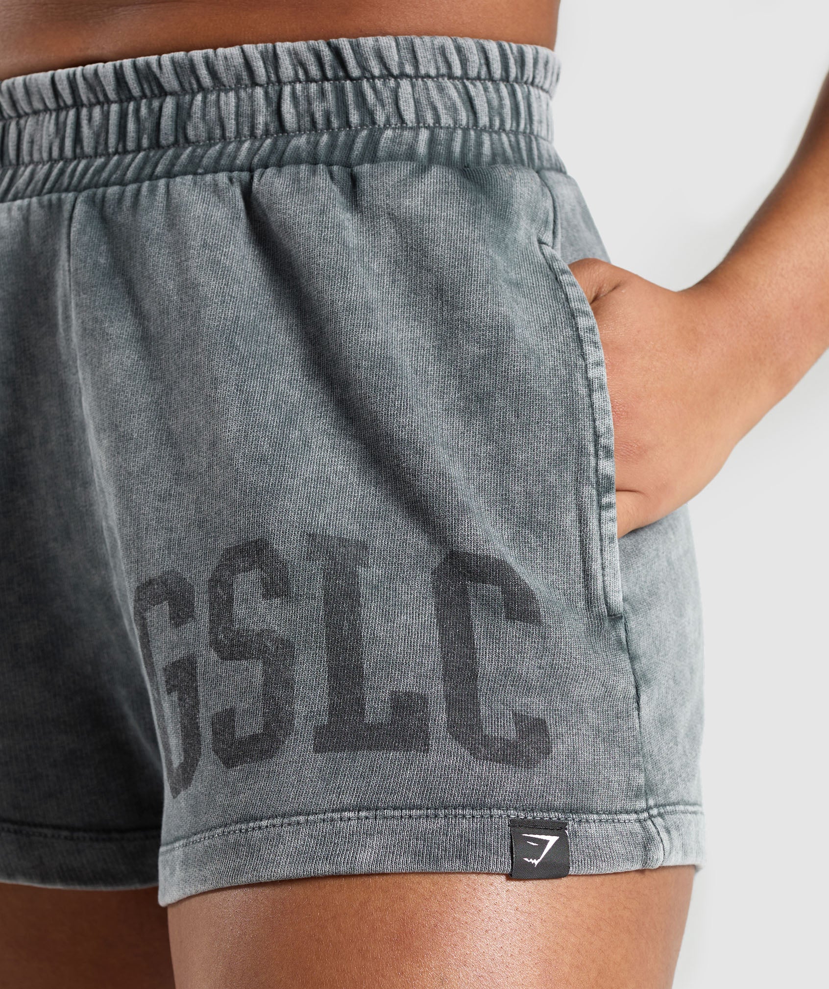 Collegiate Shadow Washed Shorts
