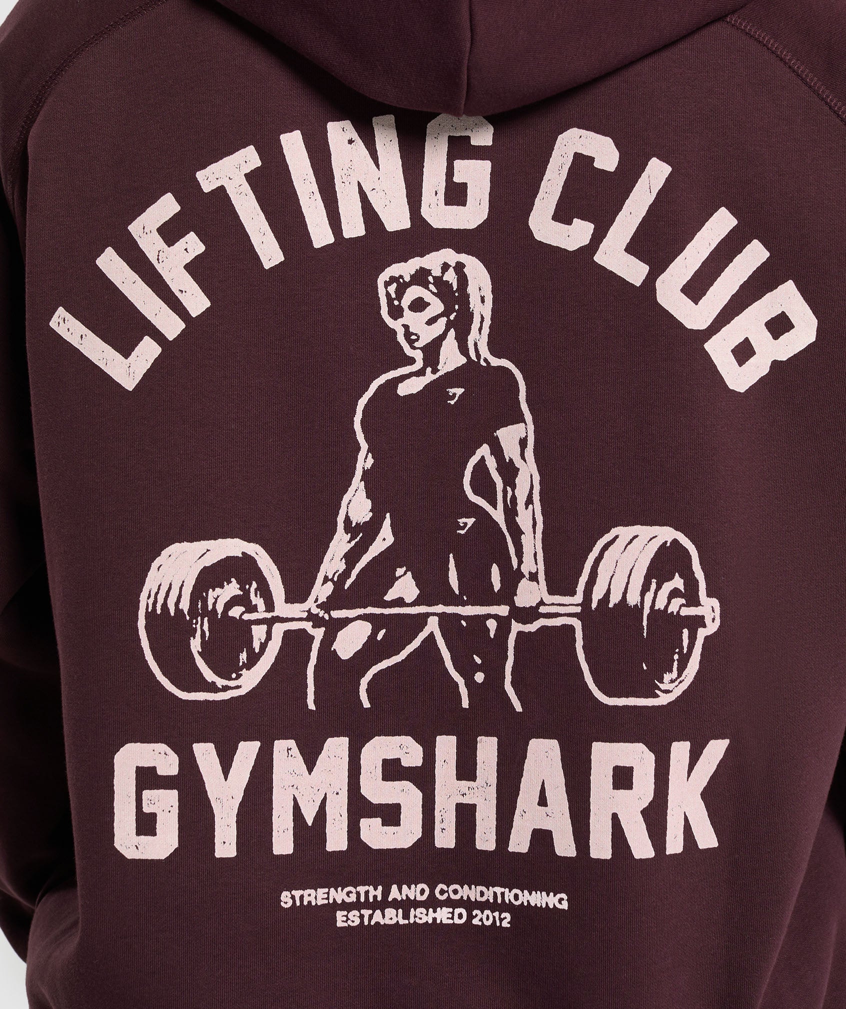 Lifting Club Graphic Brushed Hoodie