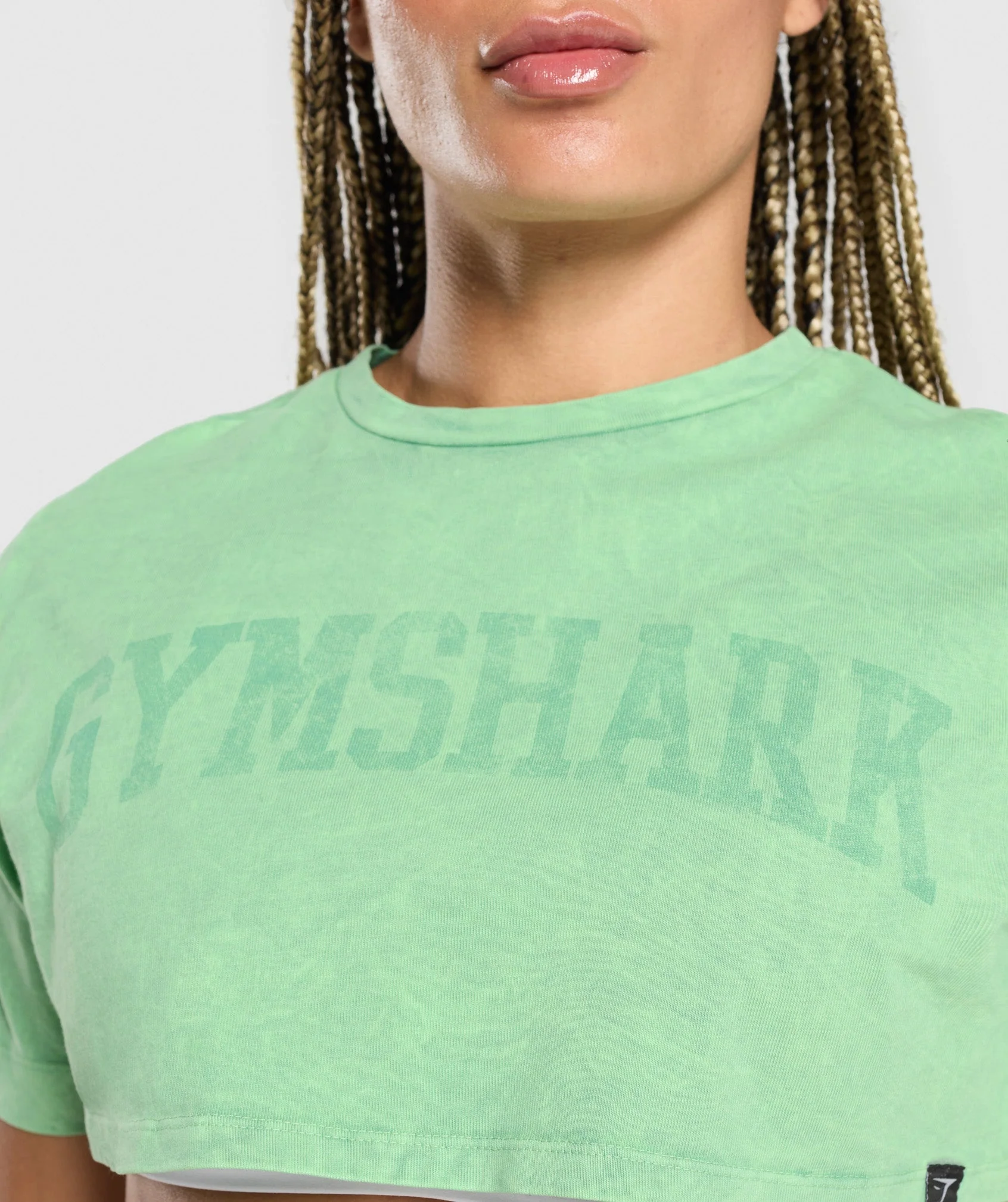 Collegiate Shadow Washed Crop Top