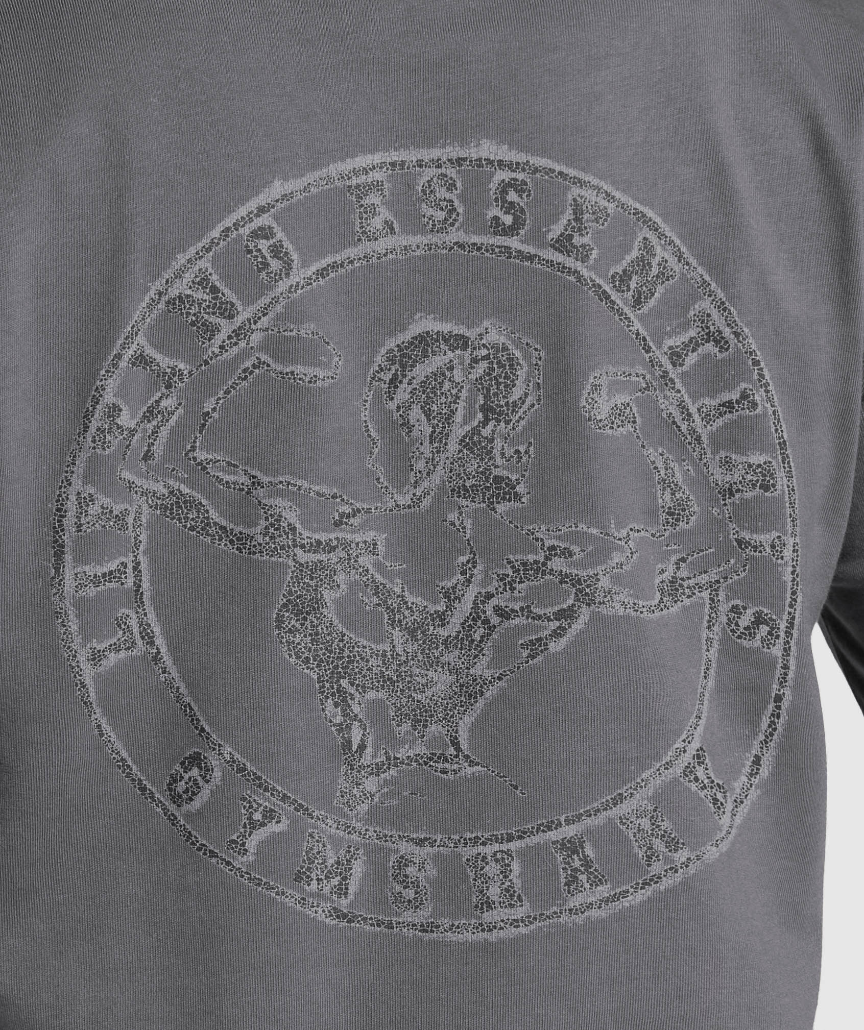 Back Gains Graphic Oversized Tee