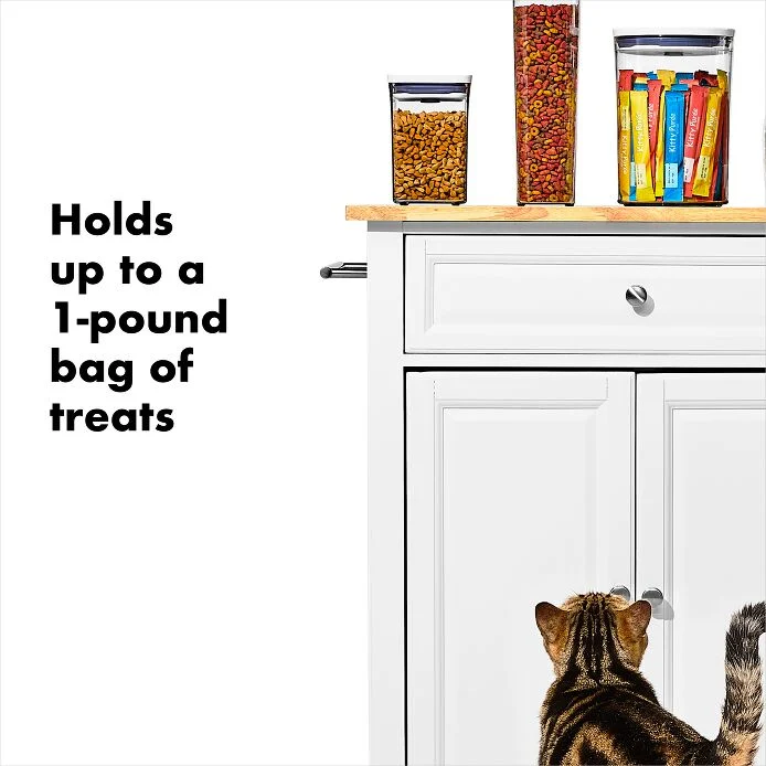 OXO Good Grips Pet POP Container – 1.1 Qt/1 L