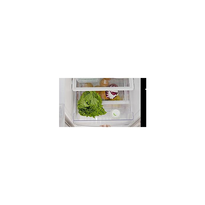GreenSaver Standing Crisper Insert - 1 Pc