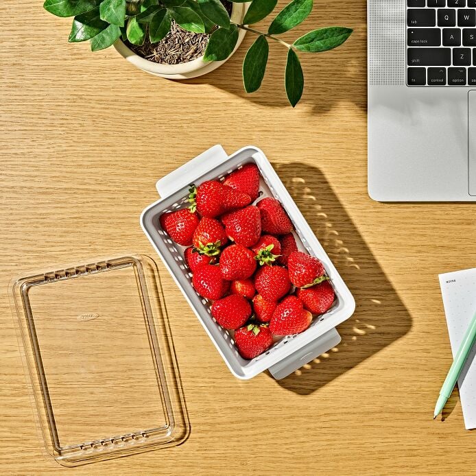 Produce Saver - Berry Keeper 2-Piece Set