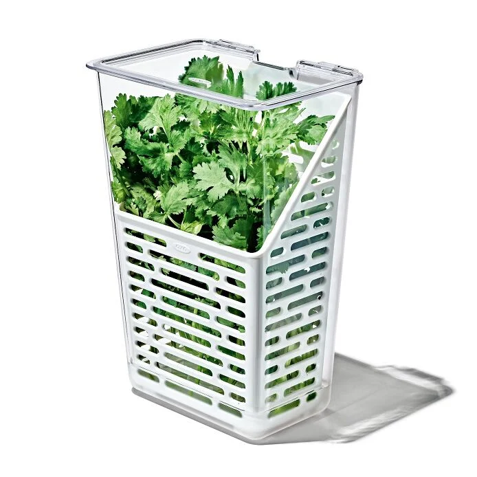 Produce Saver - Herb Keeper