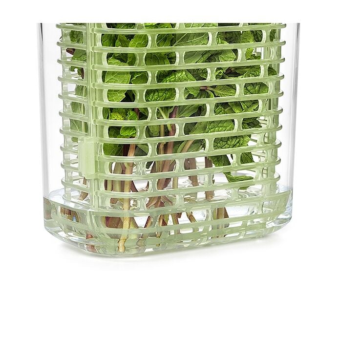 GreenSaver Herb Keeper - Small