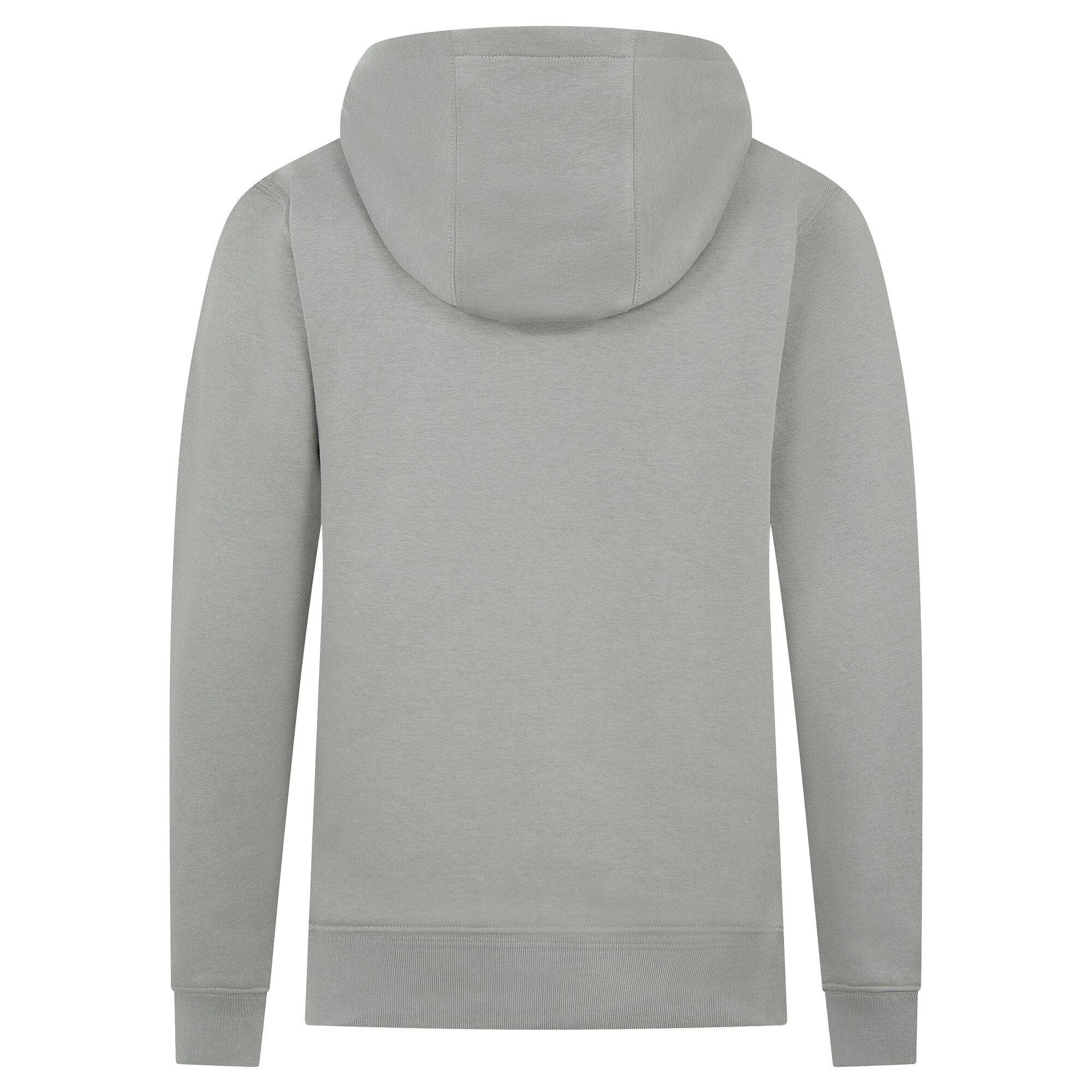 Mercedes AMG Petronas F1 Large Logo Hoodie - Grey - Kids