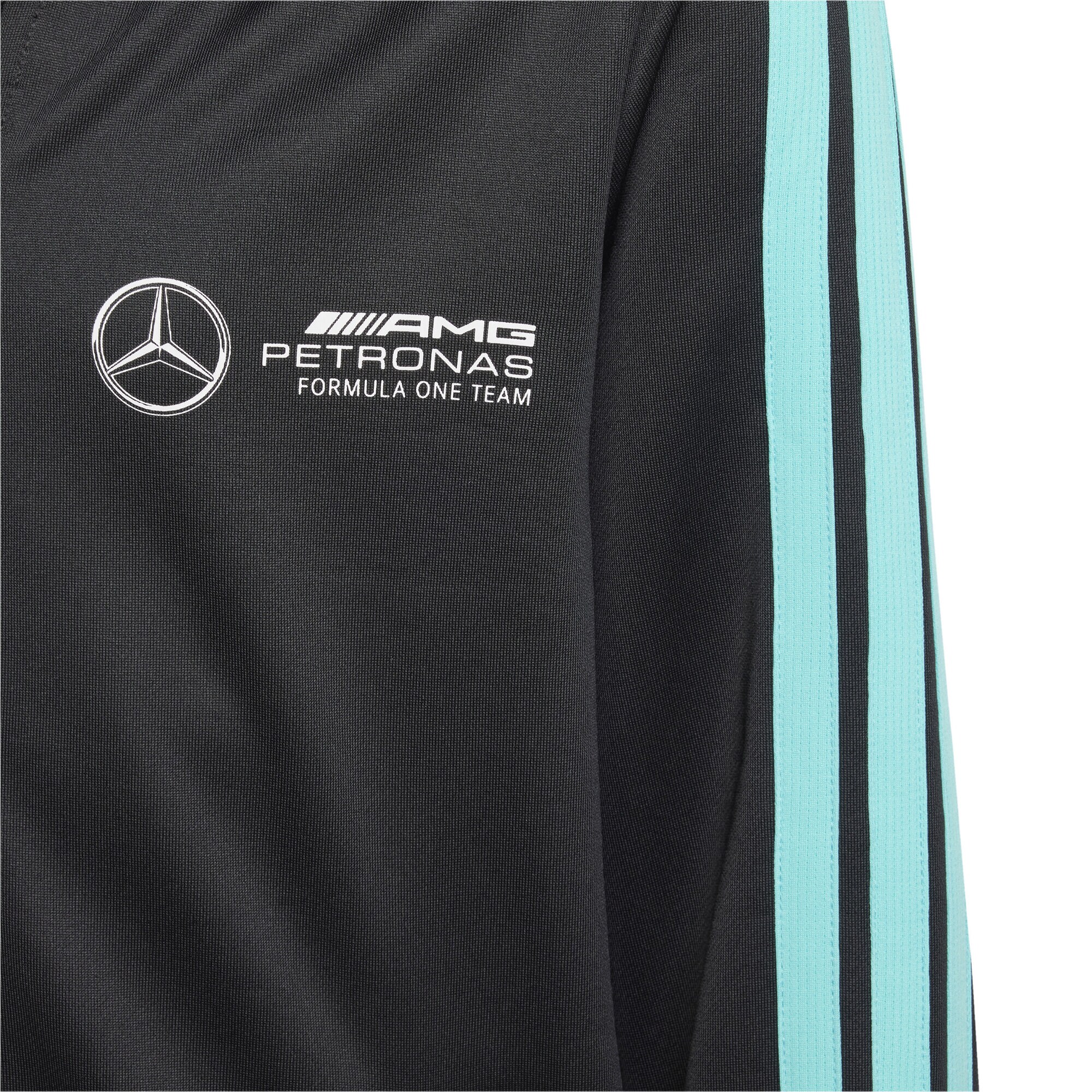 Mercedes AMG Petronas adidas F1 Logo Hoodie - Black - Kids