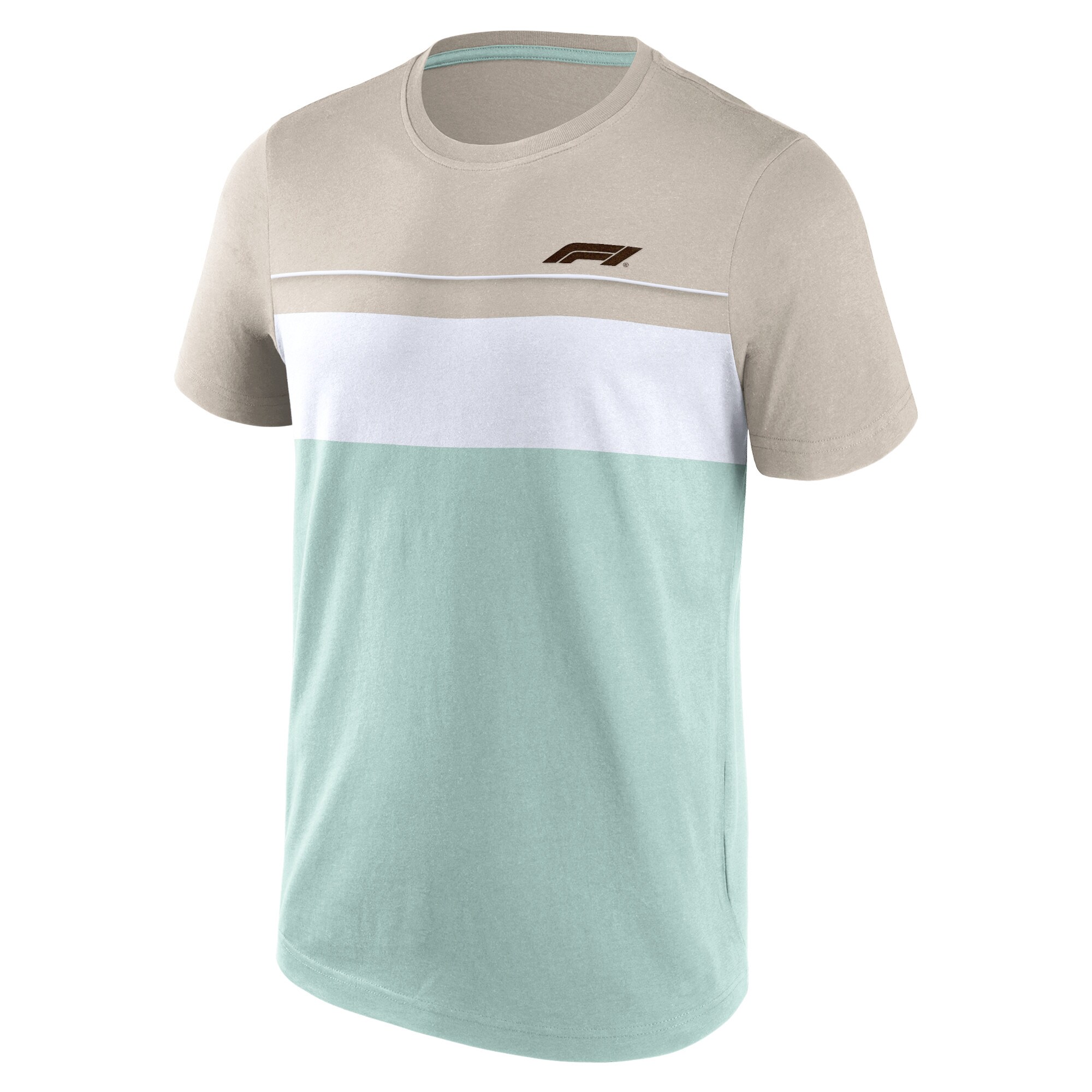 Formula 1 Fundamentals Panel T-Shirt