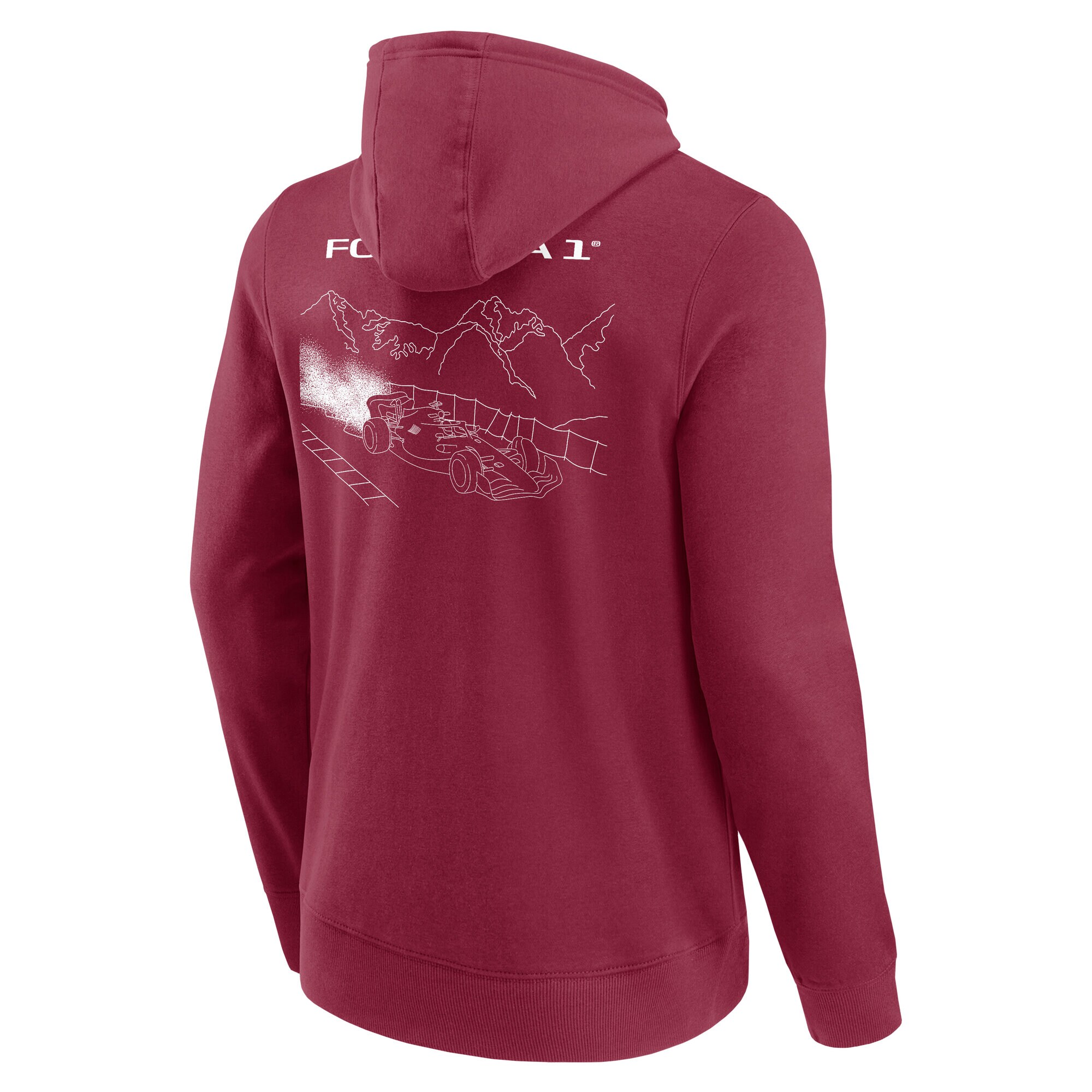 Formula 1 Ski Graphic Hoodie