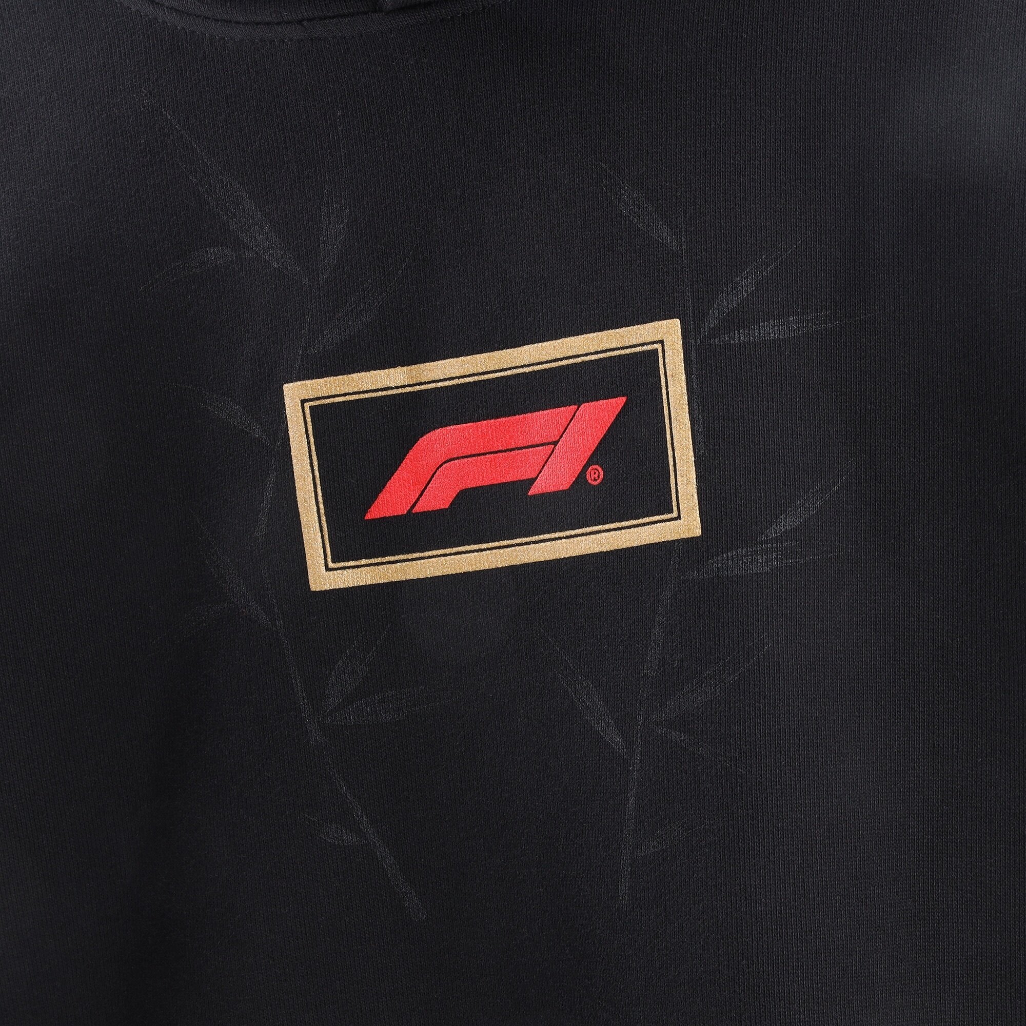 Formula 1 Year of the Snake Hoodie - Black - Unisex