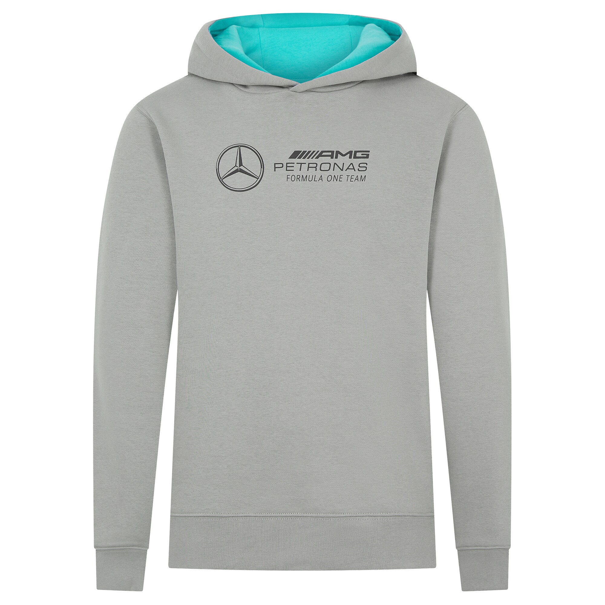 Mercedes AMG Petronas F1 Large Logo Hoodie - Grey - Kids