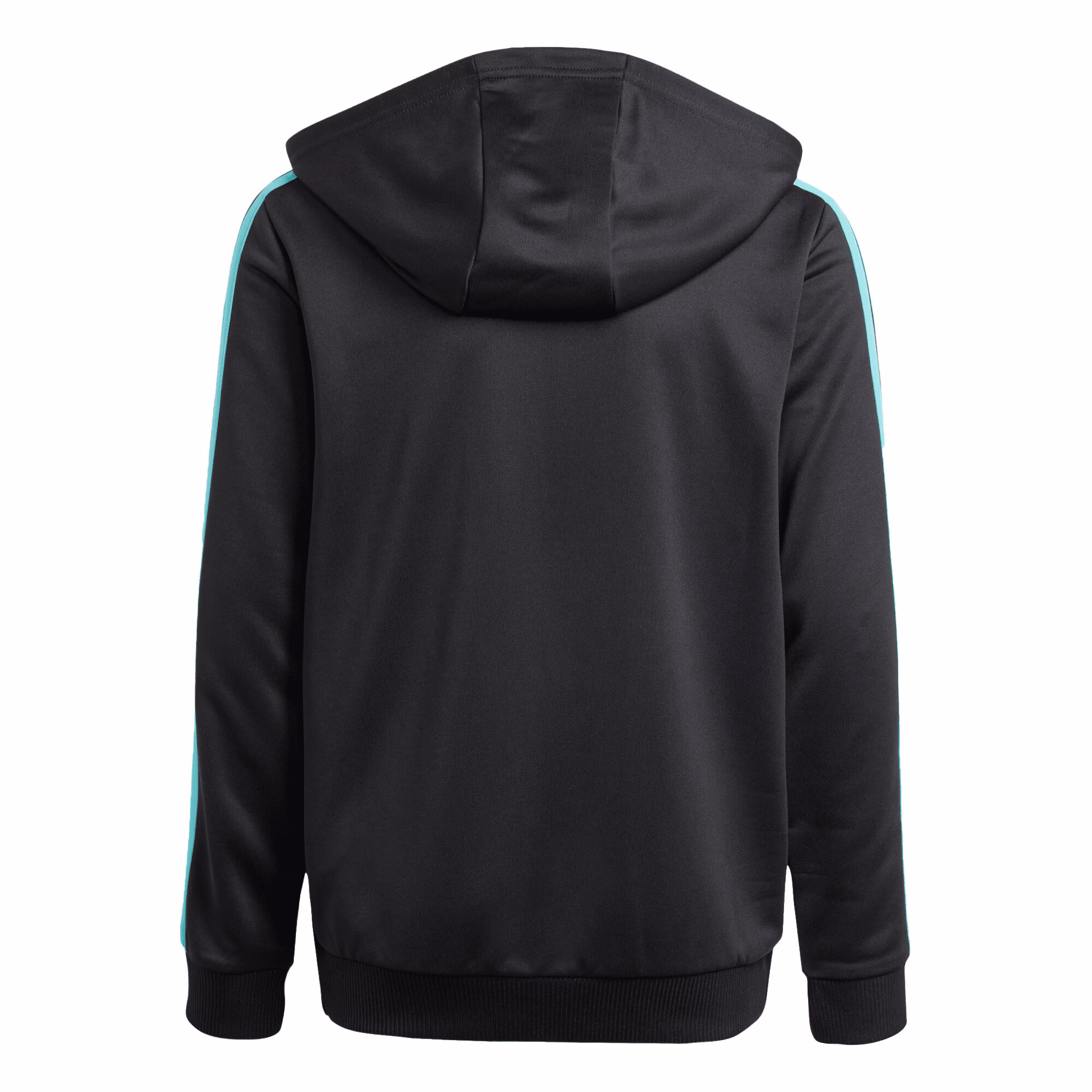 Mercedes AMG Petronas adidas F1 Logo Hoodie - Black - Kids
