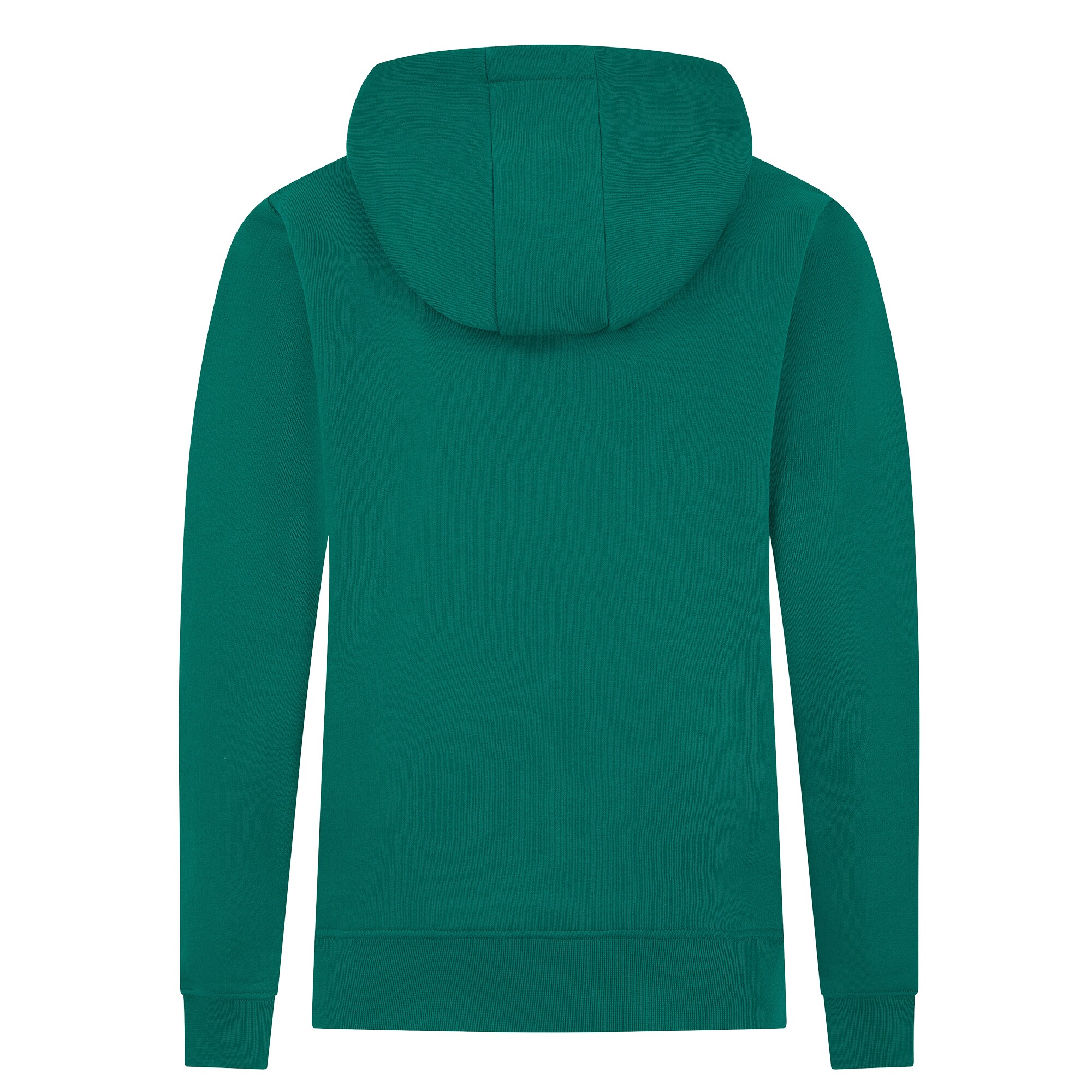 Aston Martin Aramco F1 Logo Hoodie - Kids