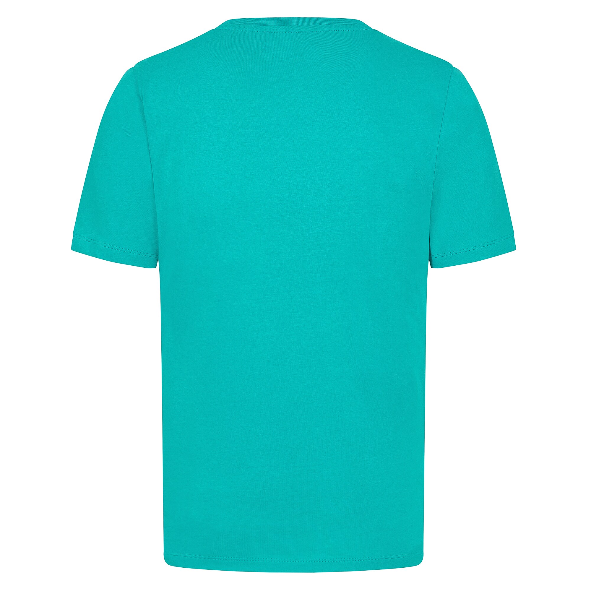 Mercedes AMG Petronas F1 Logo T-Shirt - Teal