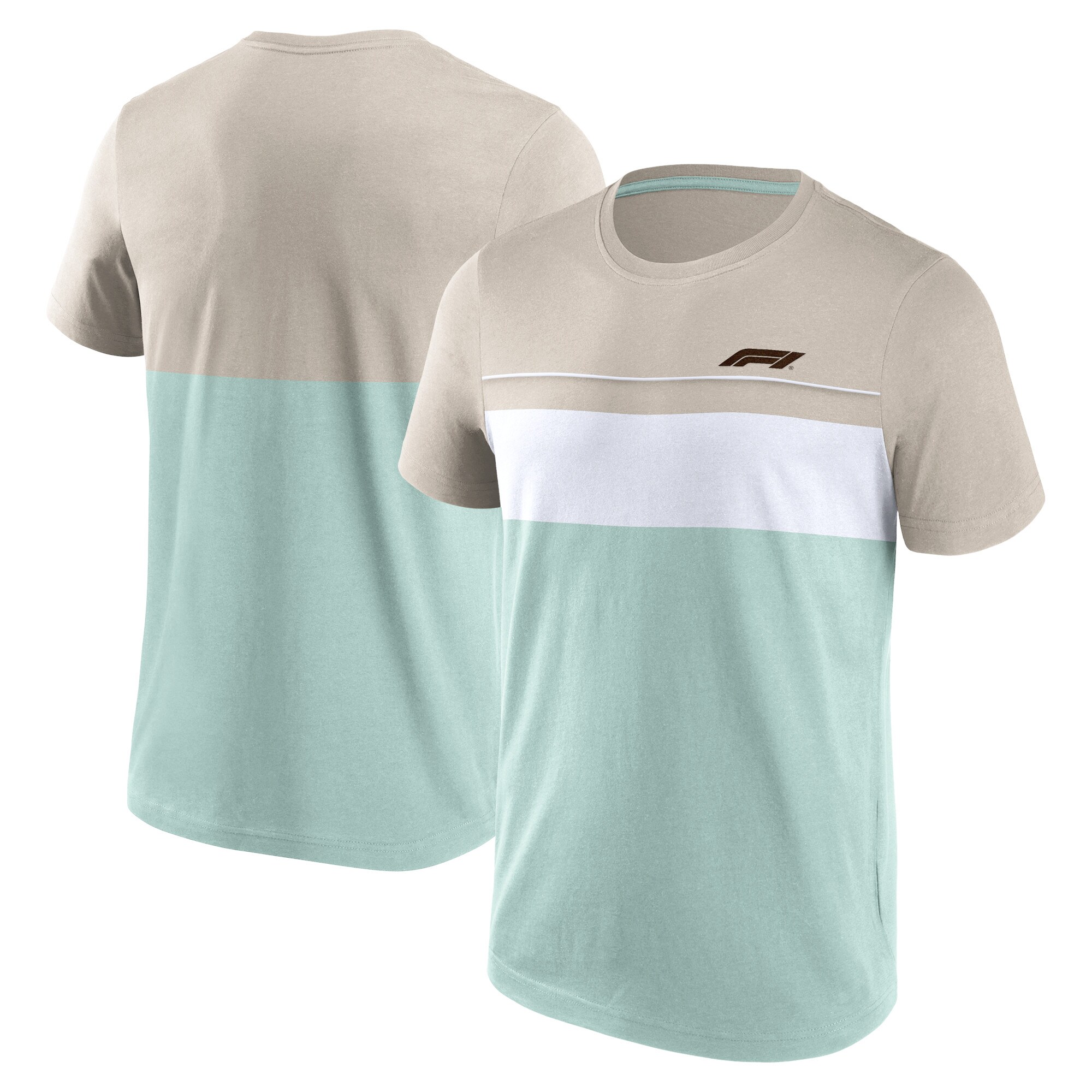 Formula 1 Fundamentals Panel T-Shirt