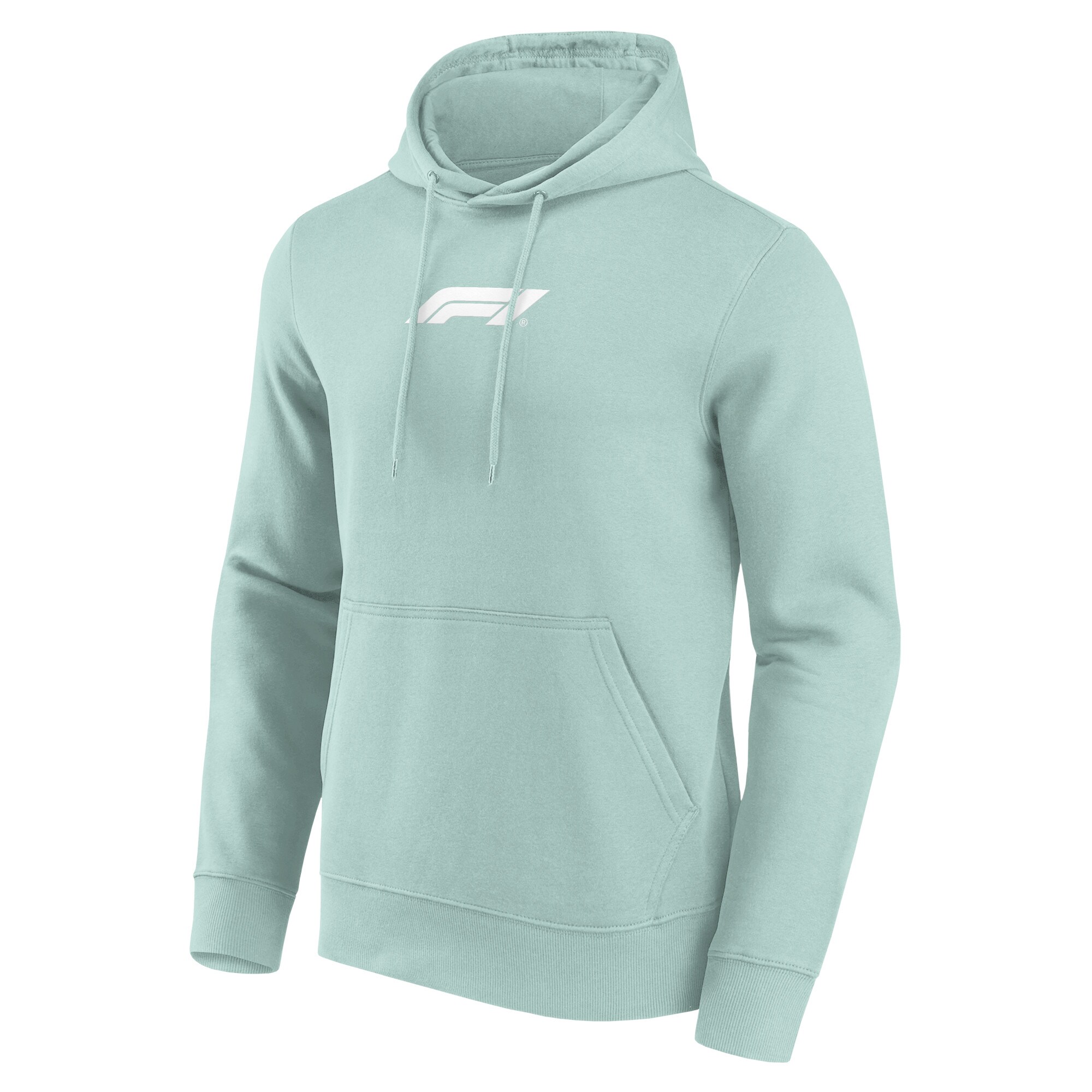 Formula 1 Mono Logo Graphic Hoodie