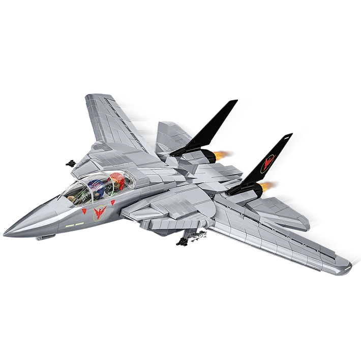 Grumman F-14 Tomcat™