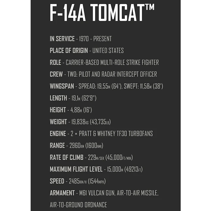 Grumman F-14 Tomcat™