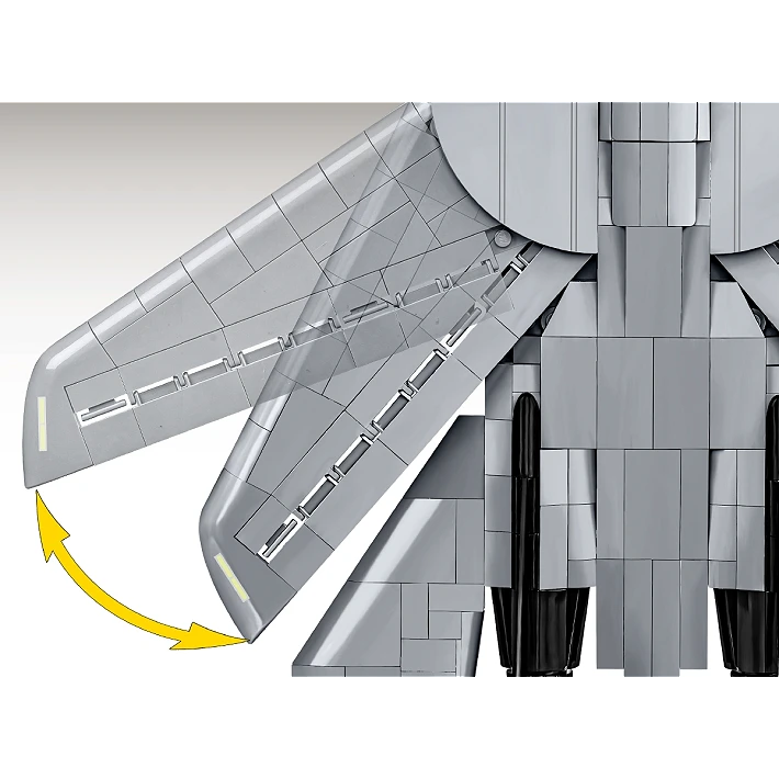 Grumman F-14 Tomcat™
